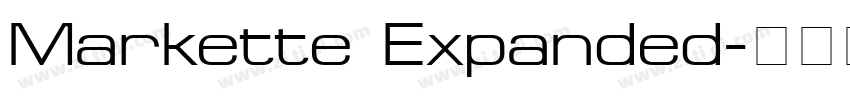 Markette Expanded字体转换